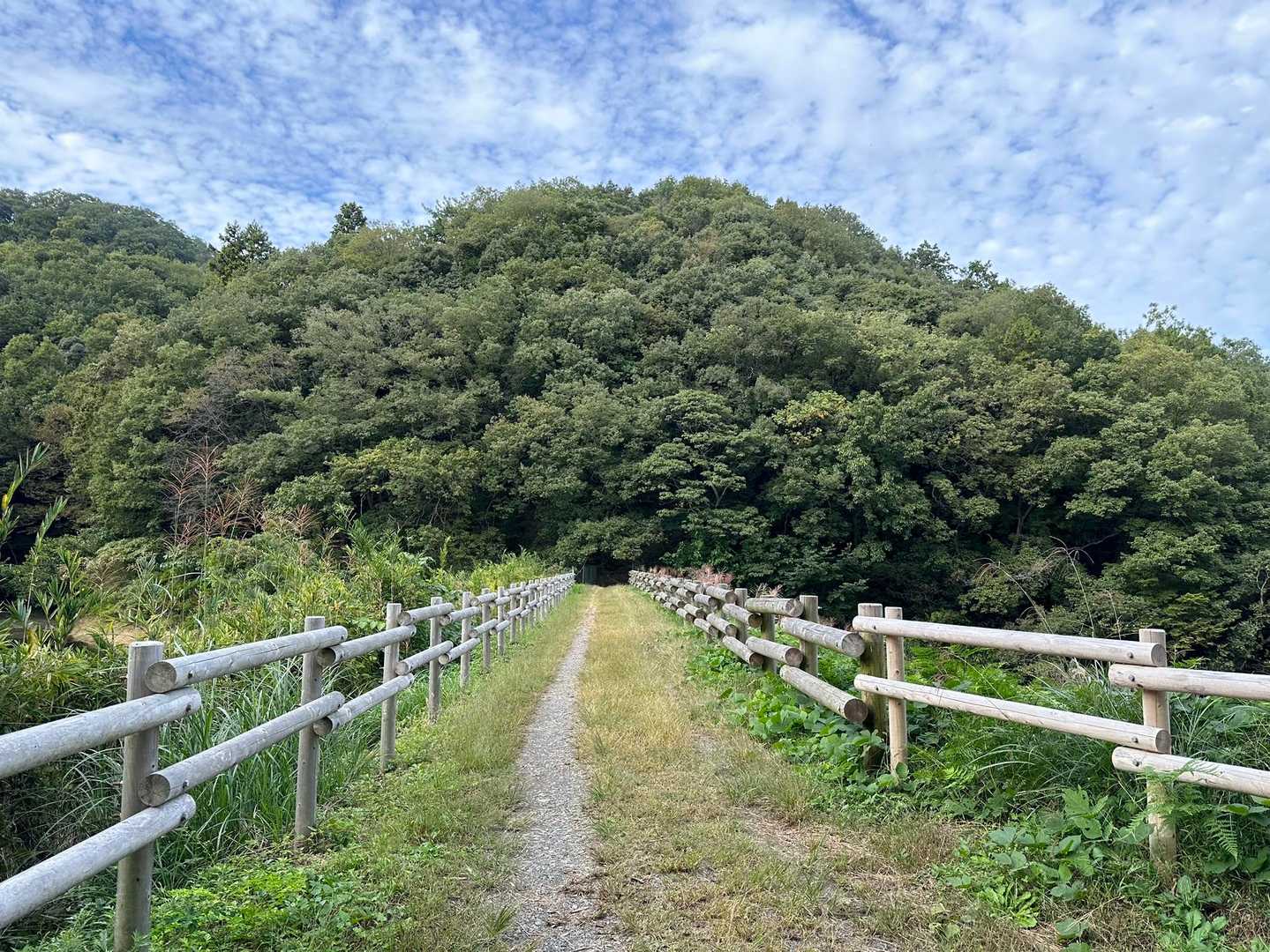 行ってきまーす