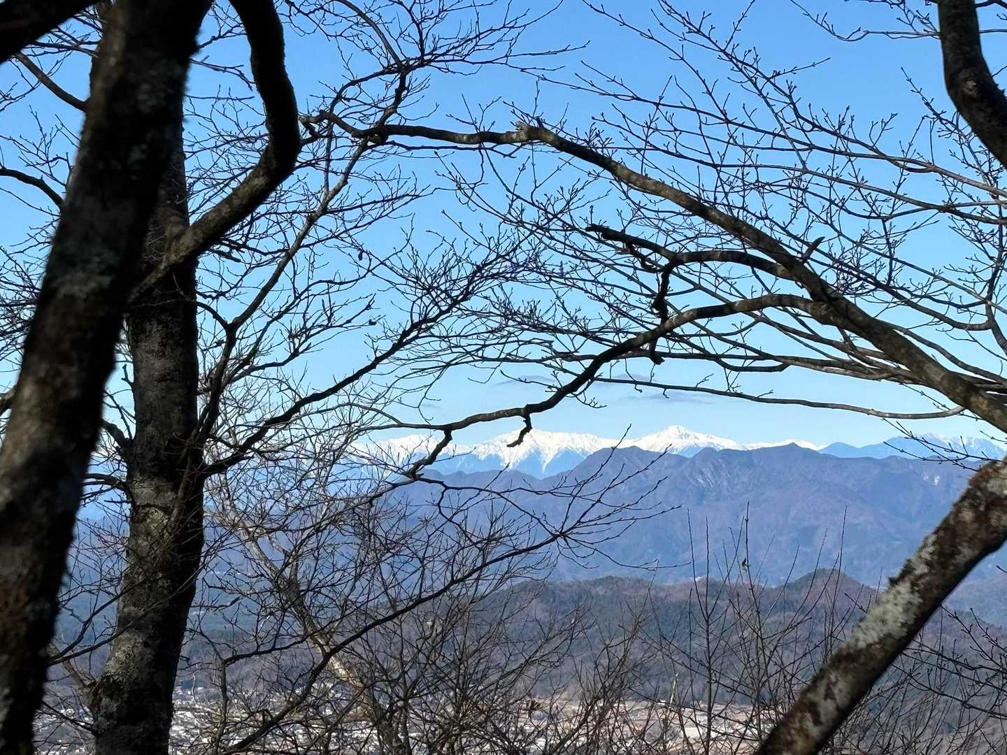 南アルプス。
北岳かなぁ〜？