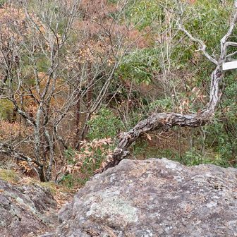 💃🏻マドンナ岩🪨
