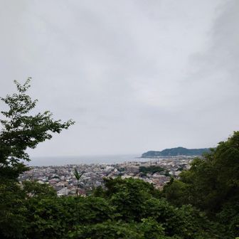 祇園山山頂から。雲多め。江の島が望めた。