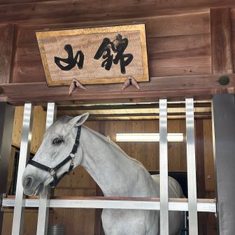 元気そう