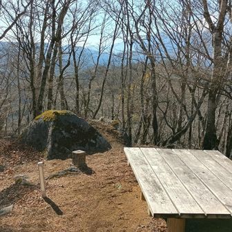 山頂はこんな感じ。