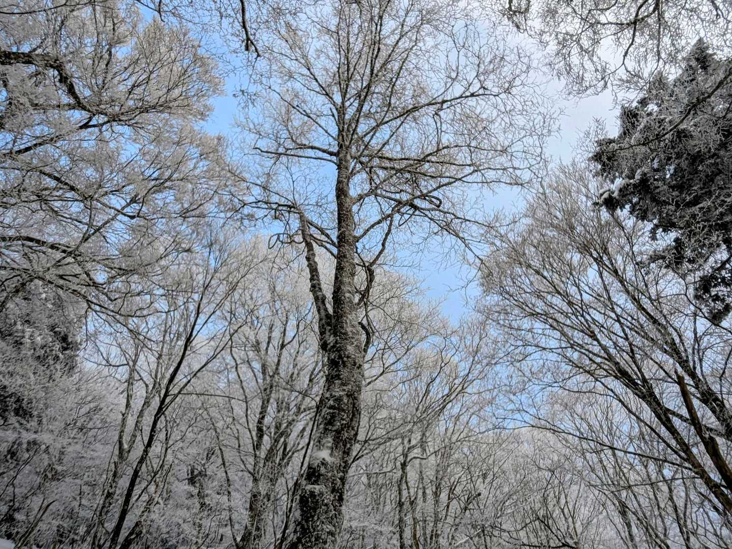 下山あるある🤗