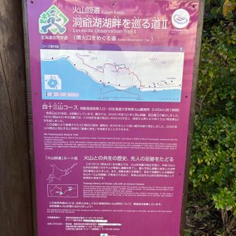 ここからは旦那と。
まったり四十山(よそみやま)登ります。

・・・余所見山？👀