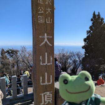 ベンチがある所は
恐ろしいほど混んでいた。
多少風が穏やな気がする。