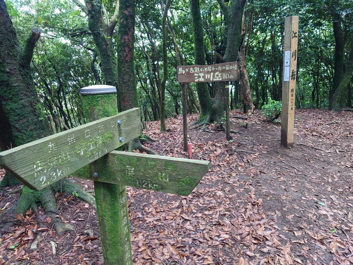 江川岳の写真