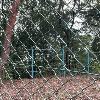 諦めて逆回りしてみる・・おっ！！！
フェンスの奥に標識が見える👀