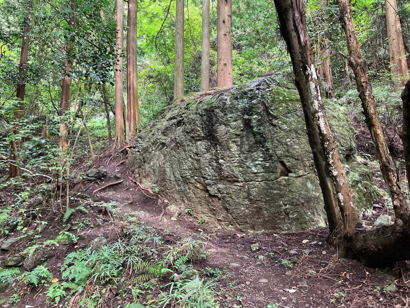 大石があります。