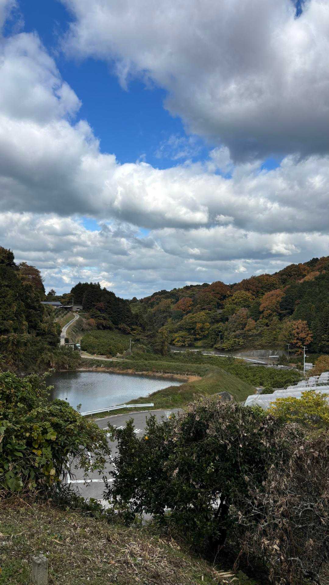 無宗天山 登山口-無宗天山 往復コースの写真