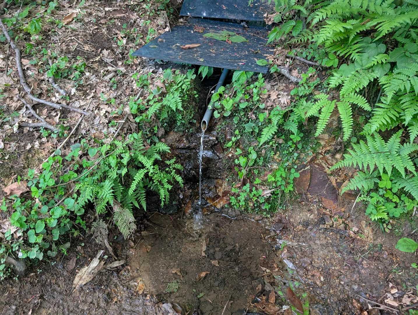 今日は水量あるんだね〜〜♪
この前は、なんだったんだ……