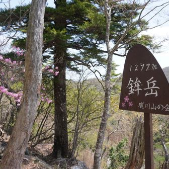山頂ゲット