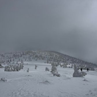 今日は小岳に向かいます