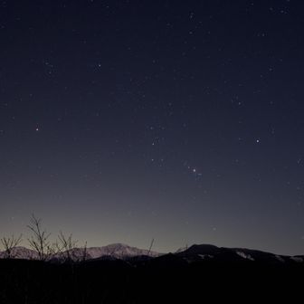 昇るオリオン座
手前の藪がジャマ…