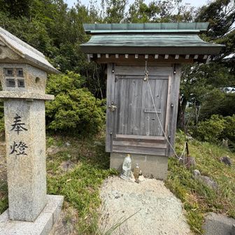 天円山　なぜか祠が蜂の住処に🐝ミツバチさんも
住むところがないのかな？