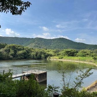 池を越え林をぬける