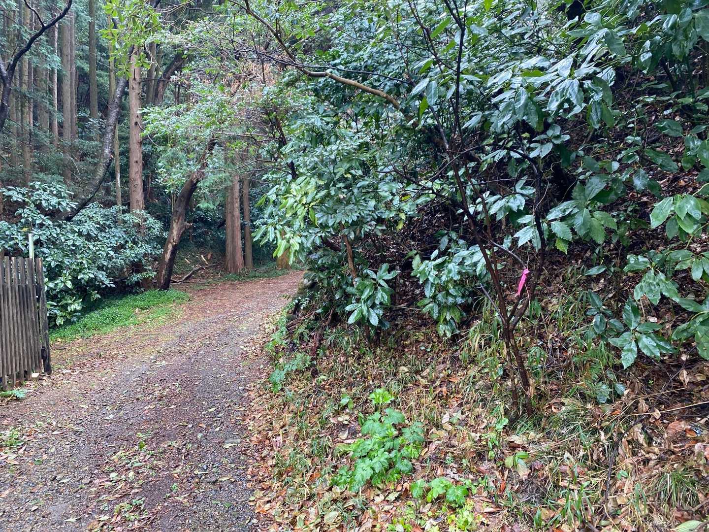 ここが入り口