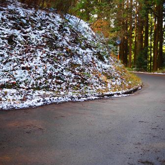 一旦道路に出ますが、この辺は雪はありません