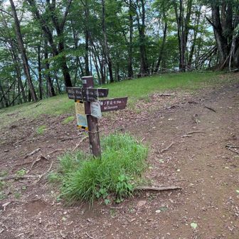 分岐点。棒ノ折山まで6.0km。