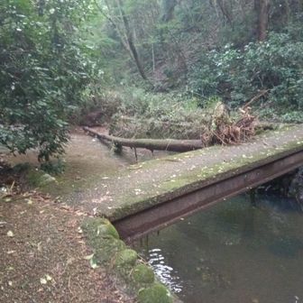 大雨の影響が…☔