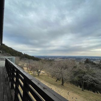 あたご天狗の森
到着👺

このあたりまで来ると観光地、遊び場エリアになります
下に向かっていくロング滑り台に惹かれますね

