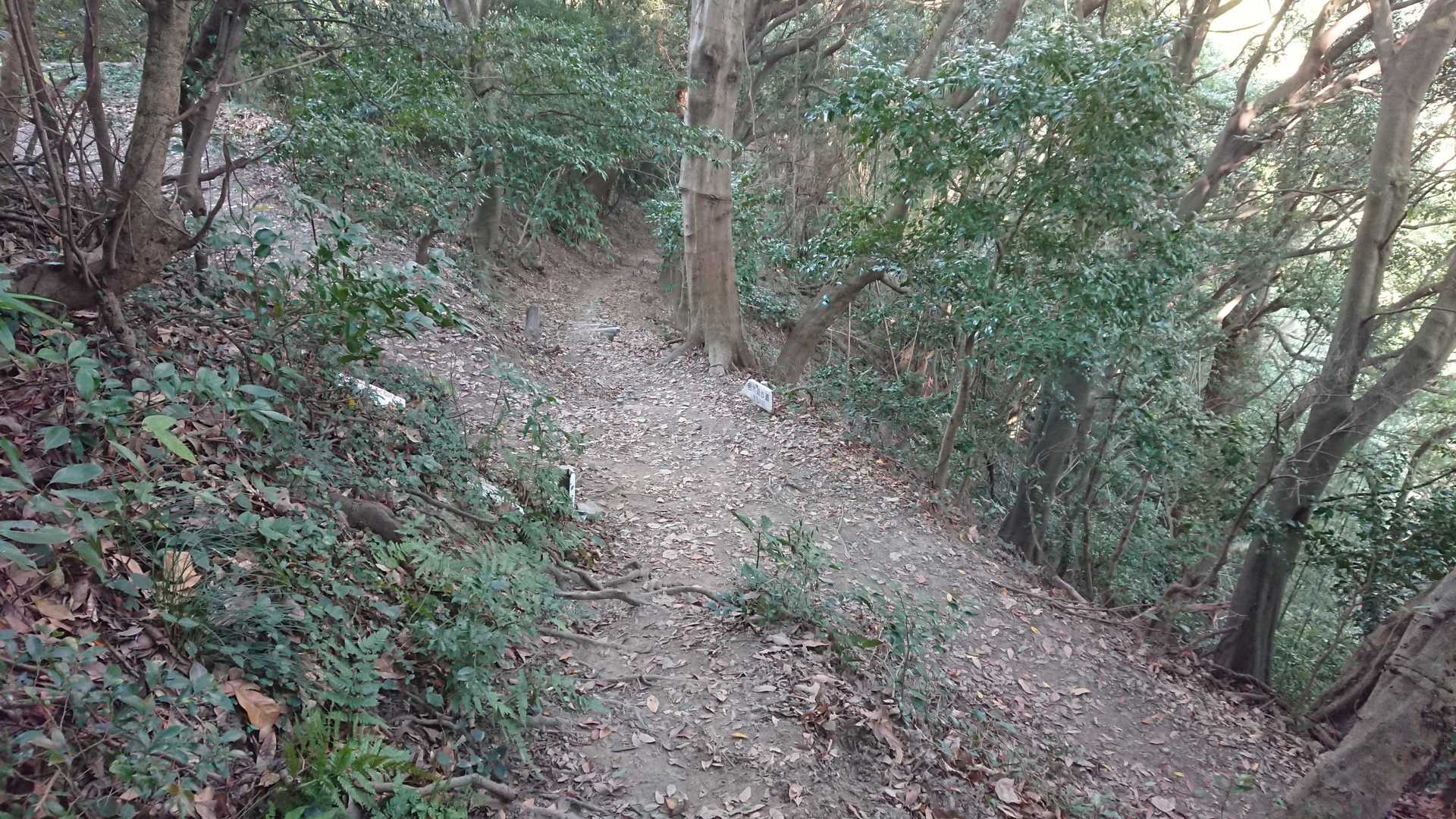 十字路を真っ直ぐ👆在自山🗻へ🏃