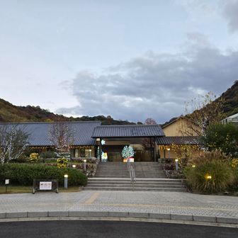 素敵なイルミネーション🎄をゆっくり見る時間はなかったけど、なんとか閉園に間に合いました😊

みつさん&ゆんたちゃん、スムーズに歩けるようにル－トを調べてくれてありがとうございます✨️
またよろしくお願いします😊