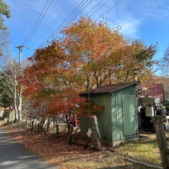 鐘分岐からキャンプ場へ下って入口付近
ゴールはすぐそこ
紅葉はだいぶ麓に降りていました
地蔵峠ではここだ