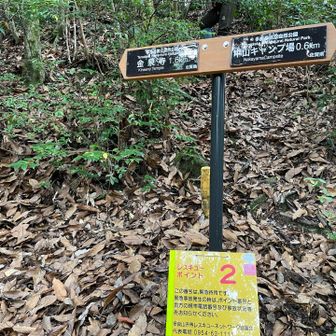だいぶん下ってきました。