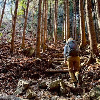 低山ですが登りごたえあります👍