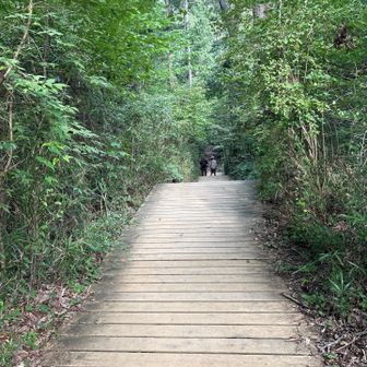 舗装された部分が多い
