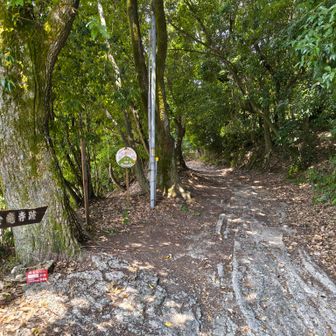 太閤道へ
登山の開始です👍