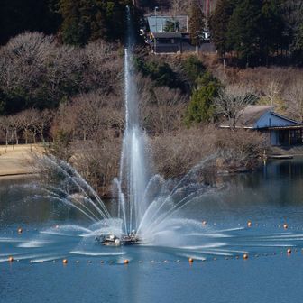 歓迎の噴水？