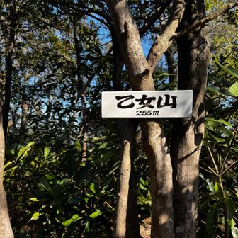 下山途中で乙女山を通過