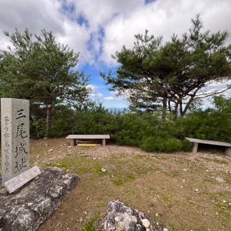 三尾山本峰、木々の合間から景色が望めます