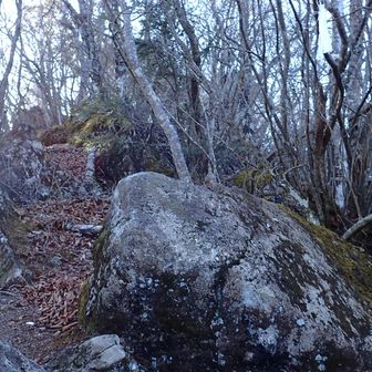 角研山手前。ここら辺りから岩場。比較的歩きやすいが、ときにトリッキーなところも。