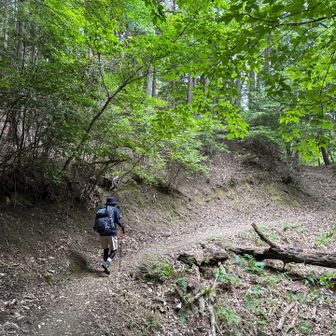 剣尾山に向かいます、歩きやすい登山道でした🎶