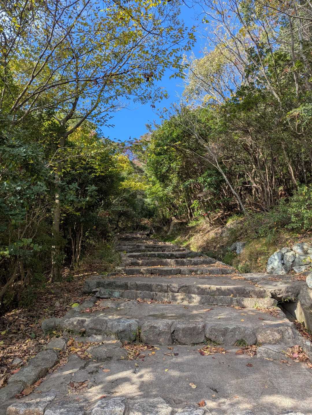 ほとんど周りを見ずに、下ばかり見て歩きます