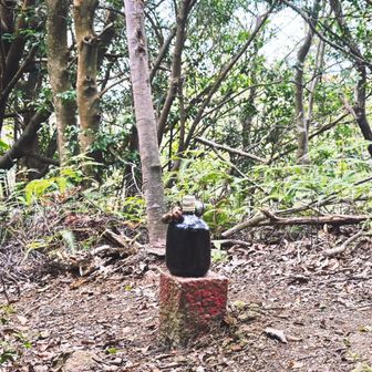 下山後はアシーズに行って
靴の話をするも店員さんの目があまりにまっすくで
「登山の闇が深くて怖い」と
店員さんも巻き込んで大笑い。

「山にハマりそう」って言ってくれてめちゃくちゃ嬉しかった😆