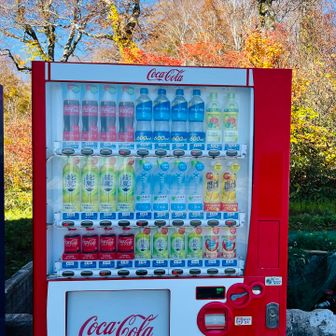 全部売り切れ、、、、
コーラ欲しかった😭