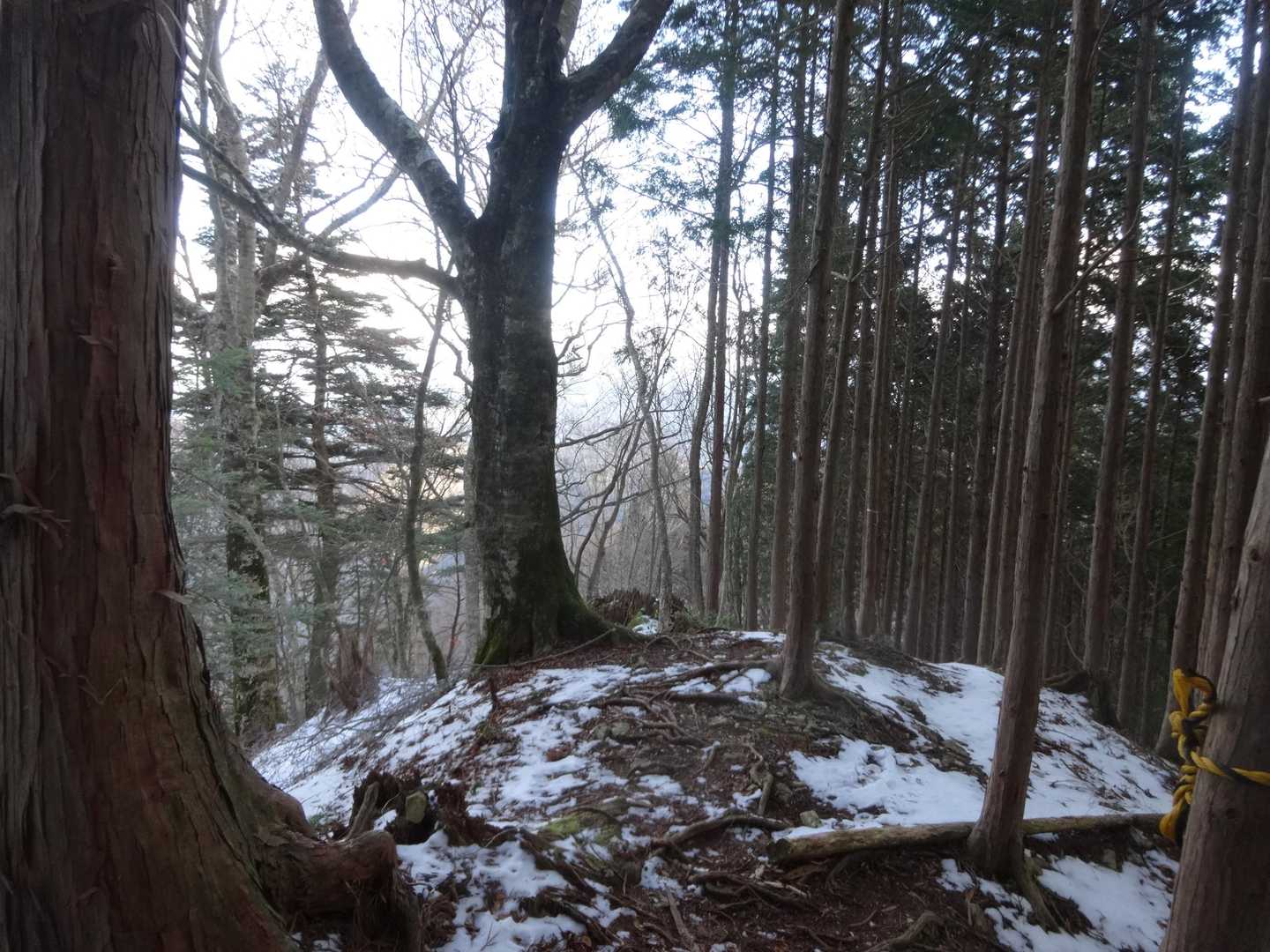 道を外しやすいルートです。先人のふみ跡をたどります