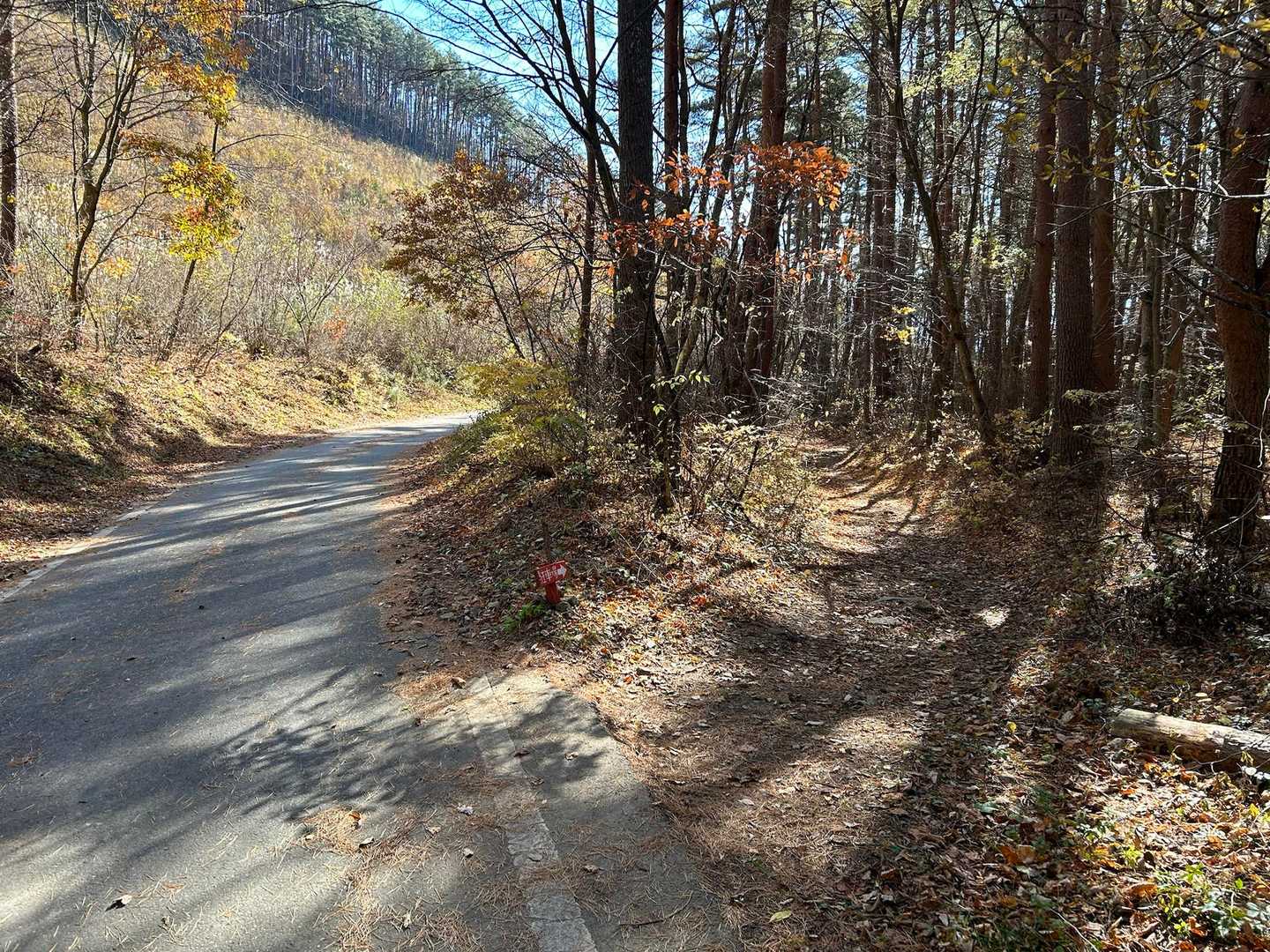 登山道に合流して駐車場へ🚶‍♀️
久しぶりの山歩きでしたが、標高があまり高くないせいか下山後の疲れがいつもより楽で、登りやすい　いい山でした⛰️
