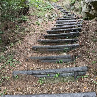 急な登りとかけてかわいいと説きます。その心は