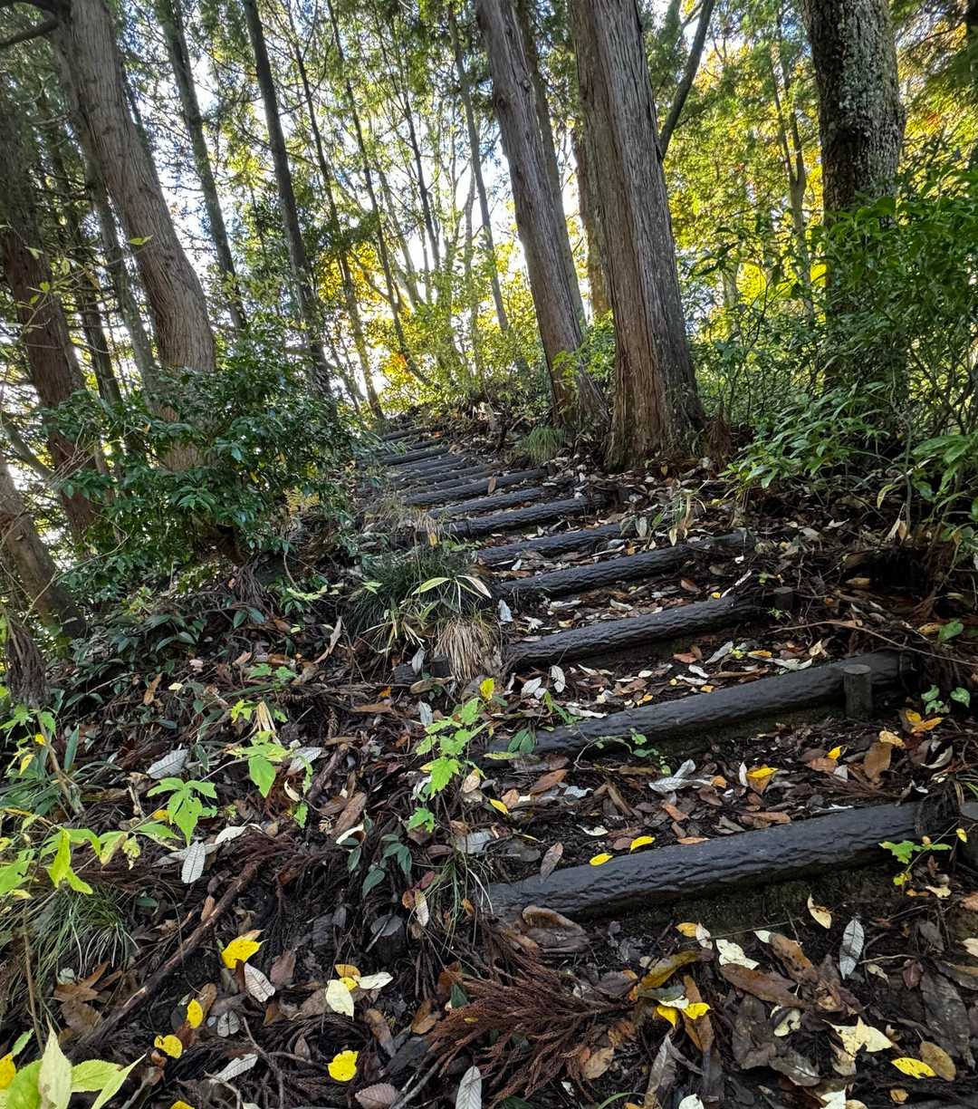 花筐公園コース登山口-行司岳-南三里山-三里山 周回コースの写真
