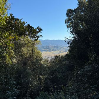 ちょっと景色は見える