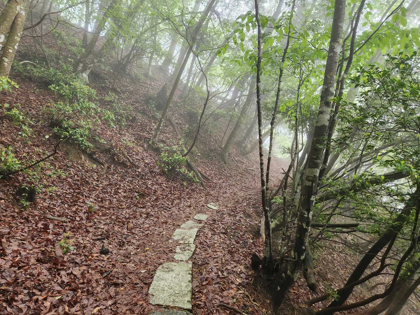 釈迦岳 周回コースの写真