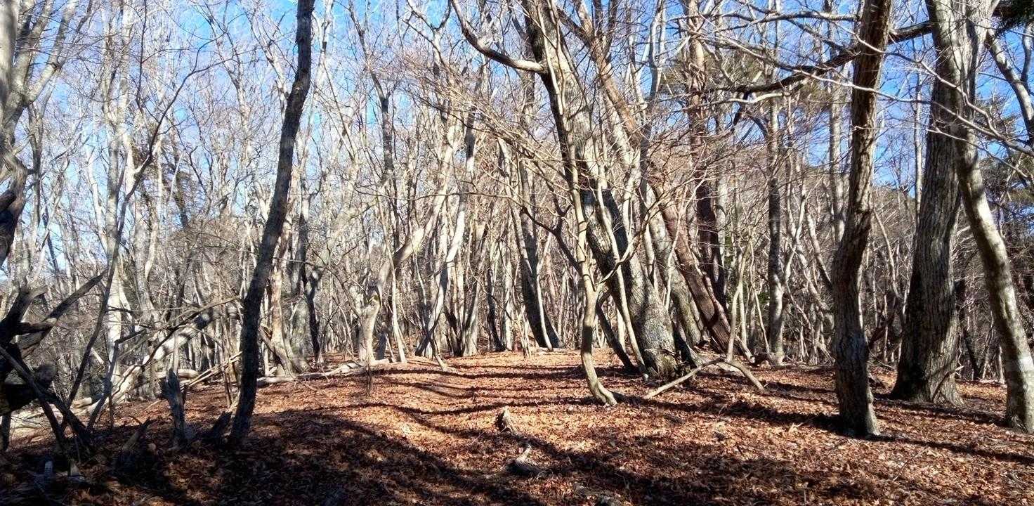 パノラマ台に向かって～😸
当分の間、平坦でルンルンで😃🎵