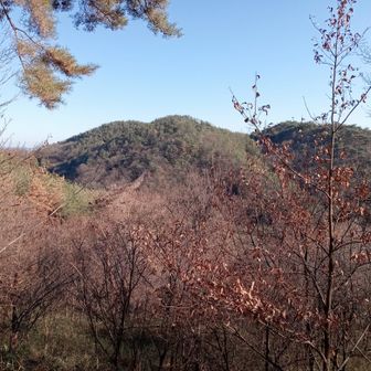 金山駐車場下部の展望台付近から八王子山方面