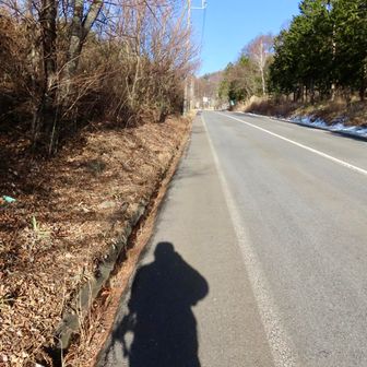 国道に出ました