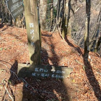 西沢ノ頭到着。