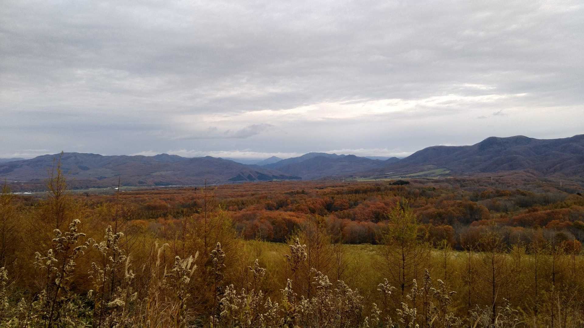 チヌイヌプリ（茅縫山・新ひだか町） / 新米さんの茅縫山の活動データ